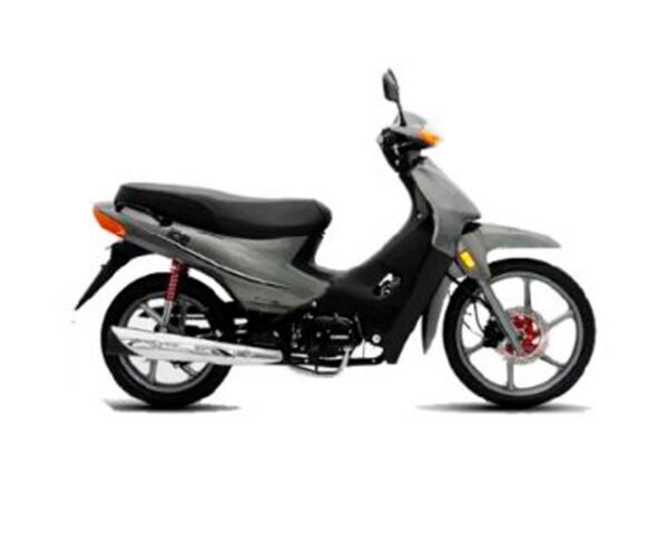 GUERRERO TRIP 110 ECONO   110cc - Imagen 3