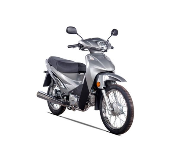 MONDIAL LD-110-MAX     110cc - Imagen 5